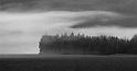 fog bank